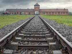 Birkenau brána
